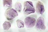 Lot: Lbs Amethyst Crystals (-) - Brazil #77857-2